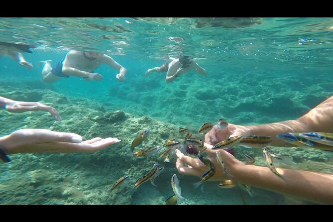 Coast to Coast Capo Vaticano With Snorkeling - Frequently Asked Questions