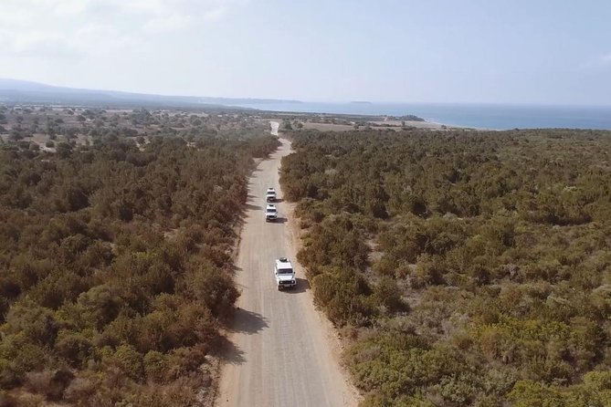 Cruise and 4X4 Safari Tour at Akamas Peninsula From Limassol - Reviews and Cancellation Policy