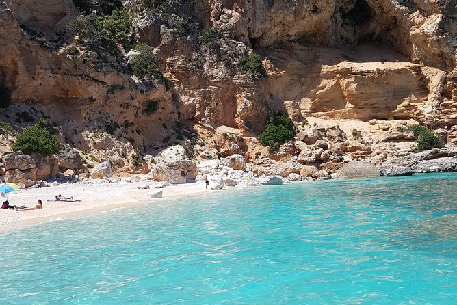 Daily Sailing Trip in the Orosei Coves With Lunch - Booking Information