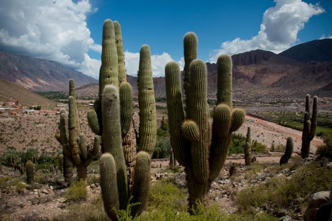 Day Trip Discover Humahuaca Valley From Salta - Customer Reviews