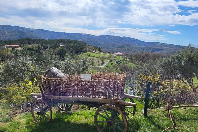 Day Trip on Saturday: HUM and MOTOVUN - Inclusions