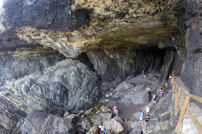 Discover the Real Fuerteventura: Extraordinary Paths Surrounded by Nature - Local Flora and Fauna