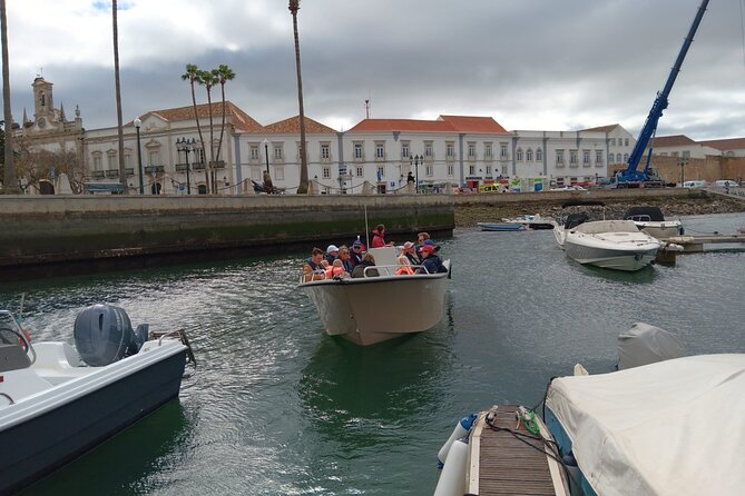 Dolphin Watching and Wildlife From Faro - Additional Information