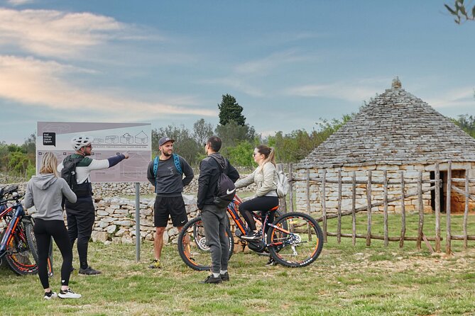 E Bike Tour With Wine and Olive Oil Tasting in Vodnjan - Booking Options