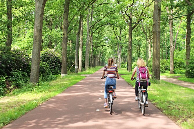 Eindhoven: Guided Bicycle Tour of the Highlights of Eindhoven - Reviews and Recommendations