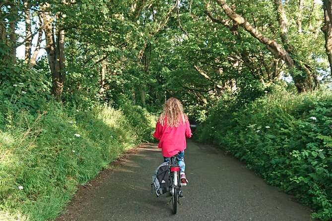 Explore North Cornwall on Electric Bikes - Price and Reservations
