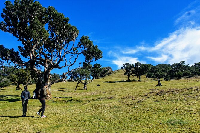 Exploring New Northwest Frontiers: Beyond Madeira in 4x4 Tour - Cancellation Policies