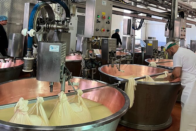 Ferrari, Parmesan and Balsamic Day Tour From Bologna - Reviews and Customer Ratings