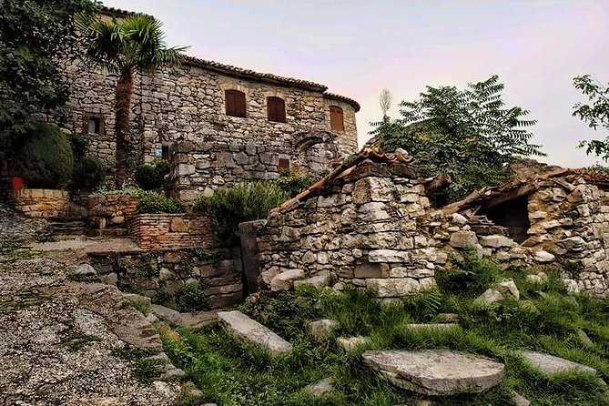 Flavours of Istria Tasting Experience From Koper - Tour Highlights