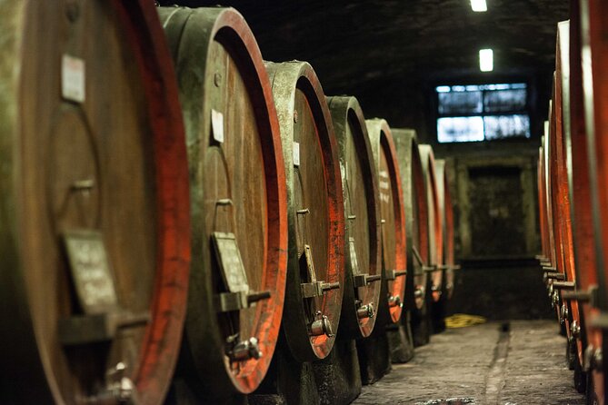 From Florence: Tuscan Wine & Olive Oil Tasting Small Group Tour - Frequently Asked Questions