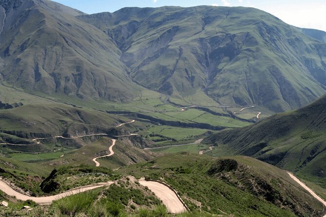 From Salta: Full-Day Tour to Cachi and Los Cardones National Park - Reviews and Company Response
