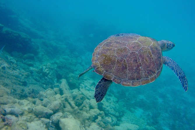 Full Day Around the Island of Ilha Grande and Its Beaches - Price and Booking Details