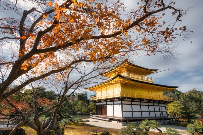 Full Day Guided Kyoto Cultural Tour - Accessibility Information