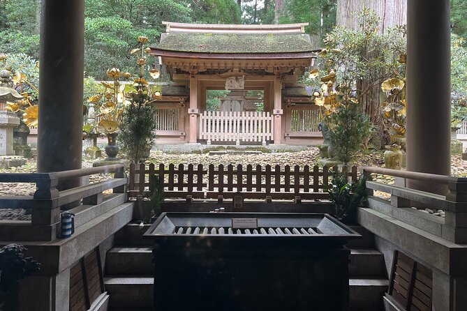 Full-Day Private Guided Tour to Mount Koya - The Sum Up