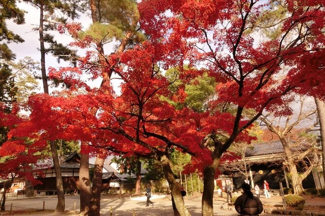 Full Day Private Walking Day Tour in Kyoto With Tea - Availability and Booking Details