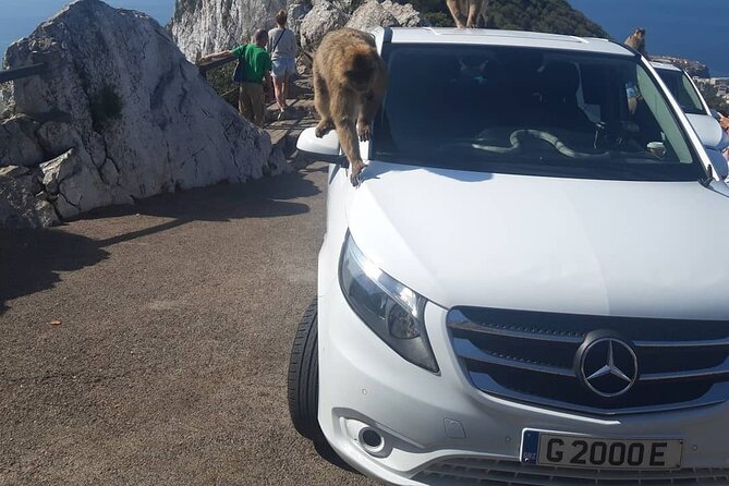 Gibraltar Sightseeing : Classic Shore Excursion (Private) - Pricing Details