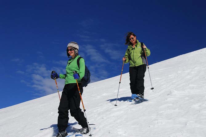 Guided Winter Wonderland Snowshoeing Adventure From Prague - Gear and Equipment
