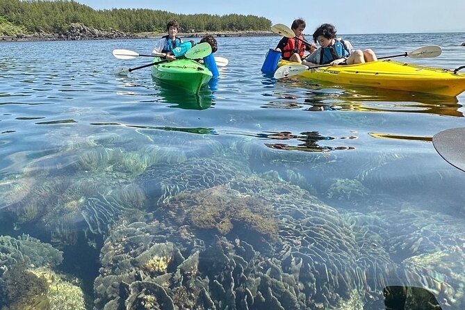 Half Day Kayak Adventure in Sakurajima Seascapes - Cancellation Policy
