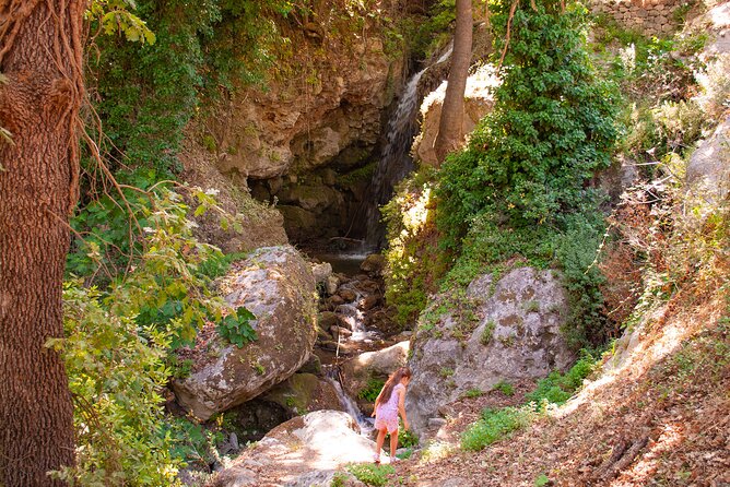 Half-Day Private Tour & Picnic in Real Cretan Countryside Retreat - Tour Logistics