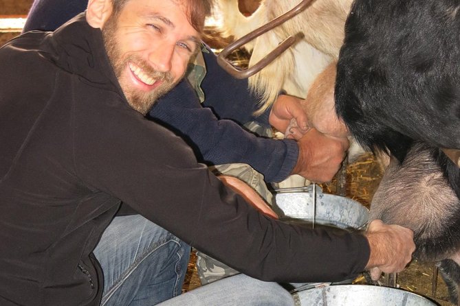 Halloumi Heaven: Cheese-Making Class & Troodos Mountain Villages 8h - Directions
