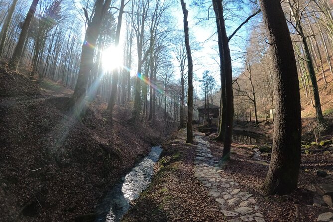 Hiking Medvednica & Medvedgrad Castle - Tour Highlights