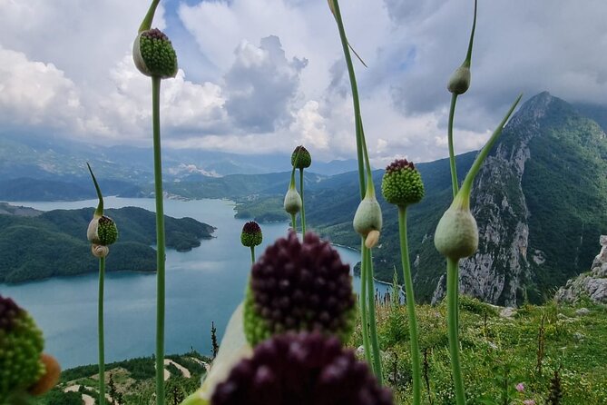 Hiking to Gamti, Bovilla Lake and Kruja Day Trip From Tirana - What to Bring