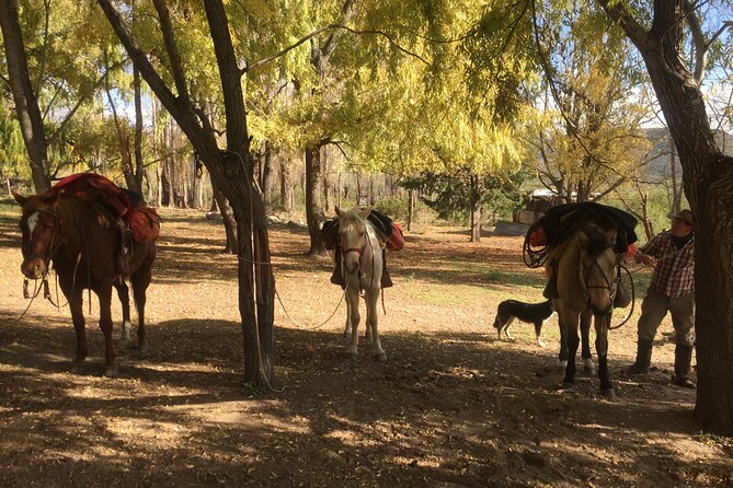 Horseback Expedition to the Andes, 2 Days. Sleep in the Heart of the Mountain. - The Sum Up