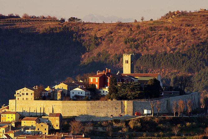 Istria in 1 Day Tour (from Pula or Medulin) - Price and Booking Information