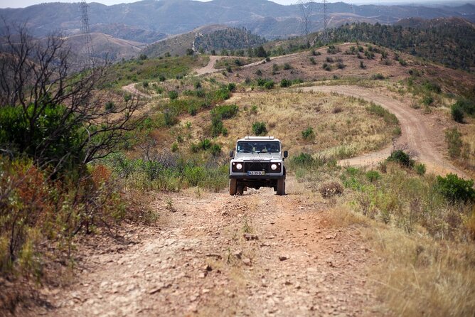 Jeep Safari to Akamas National Park: Avakas Gorge Tour From Paphos - Highlights