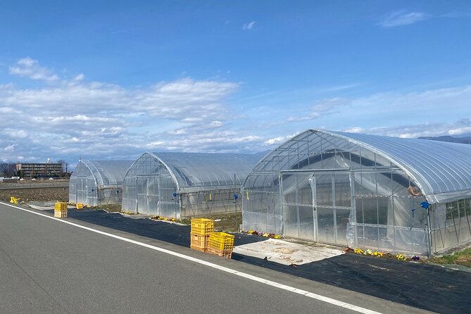 Kanko Strawberry Yamashiroen in Yamanashi - Inclusions and Meeting Point