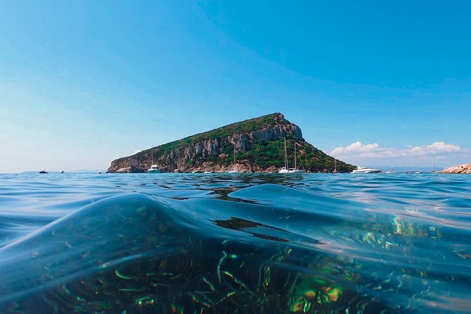 Kayak Tour With Aperitif and Dolphins - Inclusions and Amenities