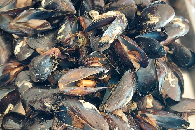 Kayaking and Mussels Tasting at Krka River Estuary-Private Tours - Directions