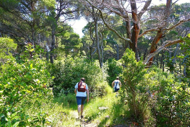 Kolocep Island Hiking and Swimming Full Day Trip From Dubrovnik - Meeting Point Details