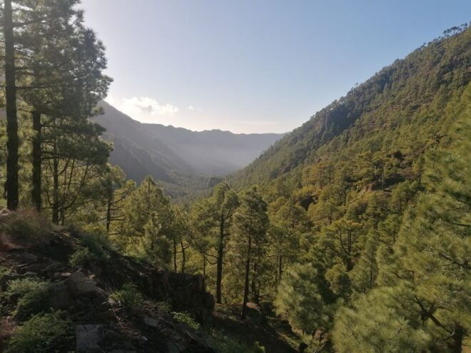 La Palma : South Tour to the Volcanoes by Bus 4x4 - Frequently Asked Questions