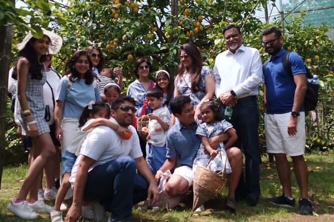 Lemon Experience in a Sorrento Farm With Harvesting and Tasting - Operator Information
