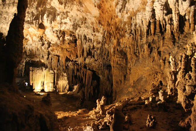 Lipica Stud Farm & Skocjan Caves - Small Group Tour From Koper - Itinerary Overview