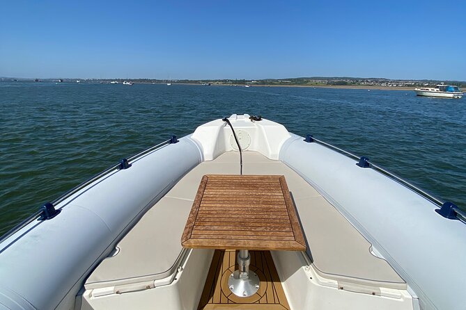 Luxury Private Rib Tour to Babbacombe Bay From Exmouth Marina - Accessibility Information