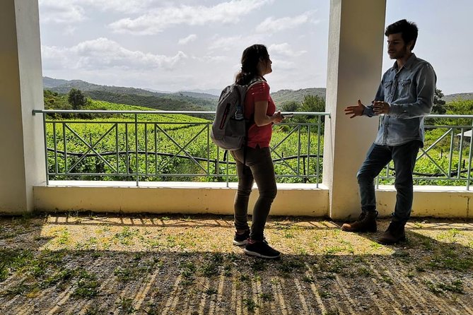 Meet the AUTHENTIC Rhodes Tour - PRIVATE Half-Day or Full-Day Tour - Directions to Pickup Points