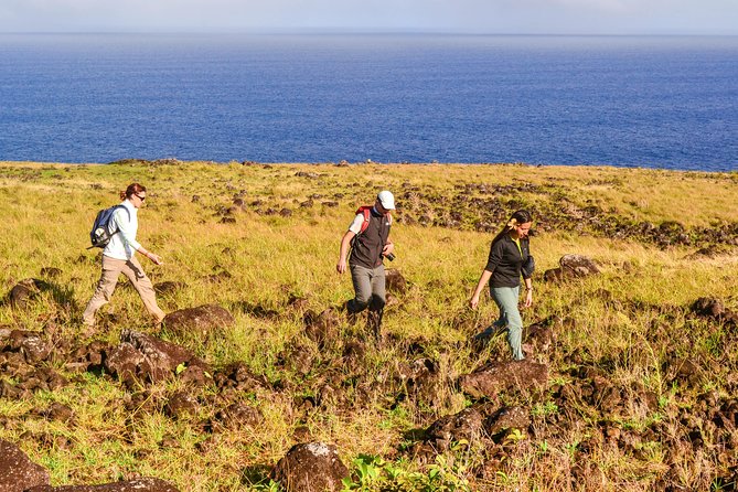 Miru: The North Coast Full Day Hike - Pickup Information