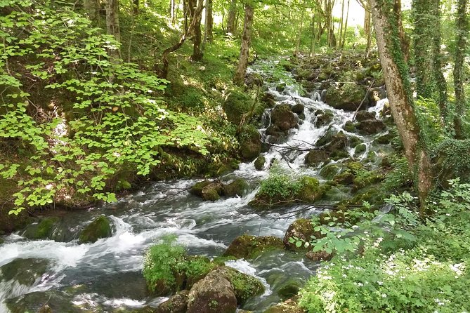 Moraca, Tara & Piva Canyons With Durmitor National Park - Additional Information