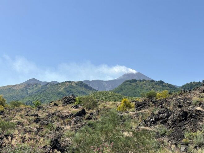 Mt. Etna: Half Day Morning or Sunset Tour in 4x4 - Inclusions