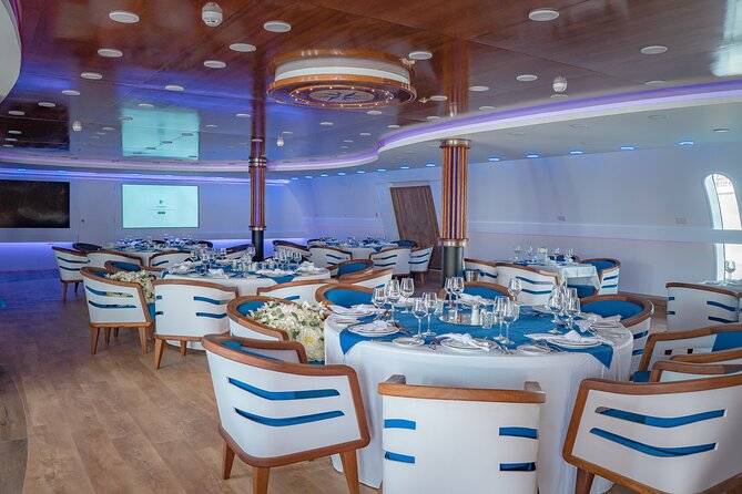 Ocean Vision | Half Day With BBQ Cruise - Final Thoughts