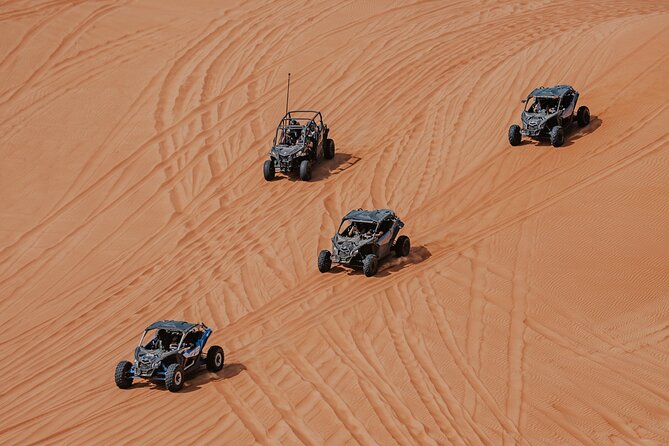 Paracas, Ica and Huacachina Day Trip From Lima | Mini-Galapagos - The Sum Up