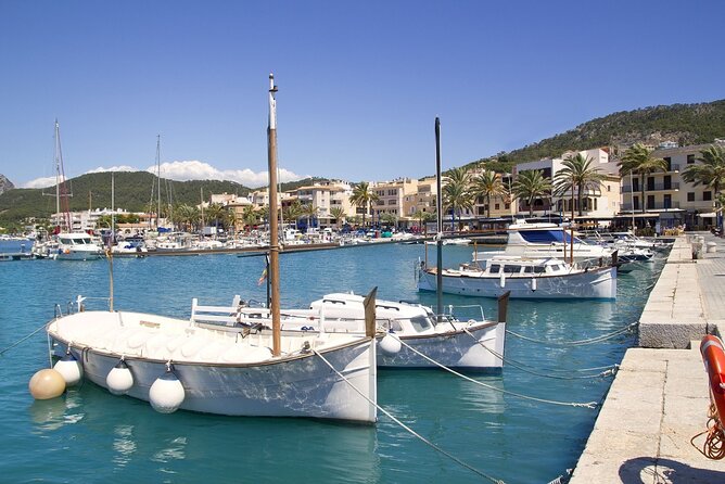 Paradise Tour 4h in Catamaran Through Mallorca and Puerto Andratx With Lunch - Customer Reviews