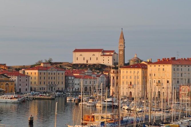 Piran and Scenic Slovenian Coast- Private Experience From Koper - Authentic Dining Experience