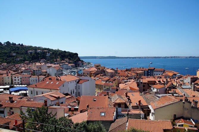 Piran & Panoramic Slovenian Coast - Small Group Tour From Koper - The Sum Up