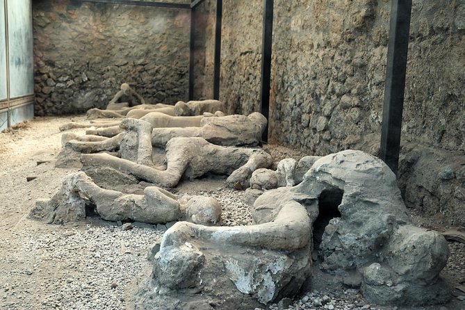 Pompeii Guided Walking Tour With Ticket - Reviews