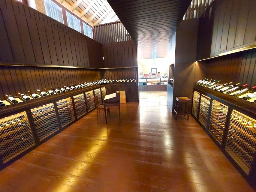 Porto: Wine Tastings (Green Wine) & Lunch & Porto Old Tour - Tour Overview