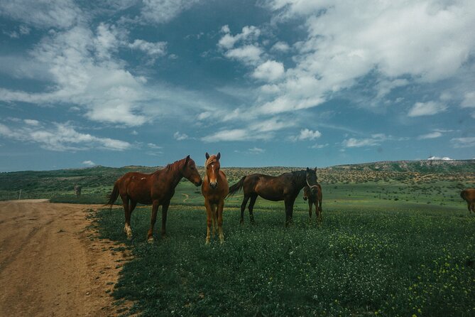 Private 1.5-hour Horse Riding Adventure in Tbilisi - Frequently Asked Questions