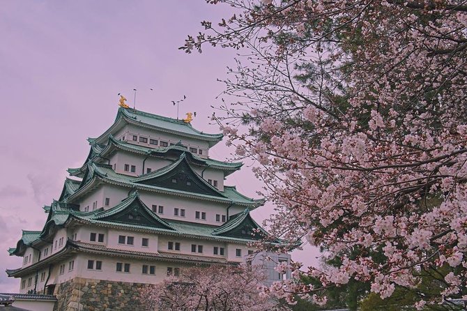 Private Arrival Transfer Chubu Centrair International Airport to Nagoya City - Additional Information